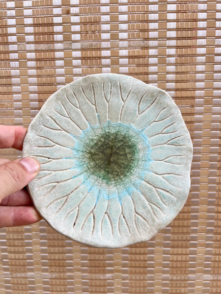 Persian Silk Tree Kokedama with SeedPod Kokedama Dish by you.clayart