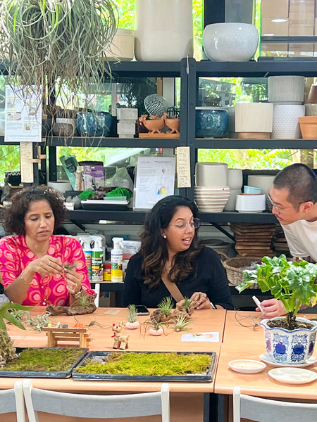 Fun & Easy Airplant Crafting Workshop (Group)