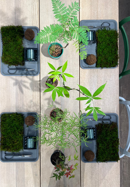 Chose your own date - Signature Kokedama Workshop