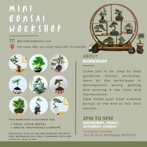 Chose your own date - Juniper Bonsai Workshop