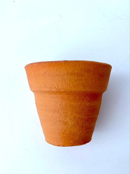 Terracotta Pot (Small)