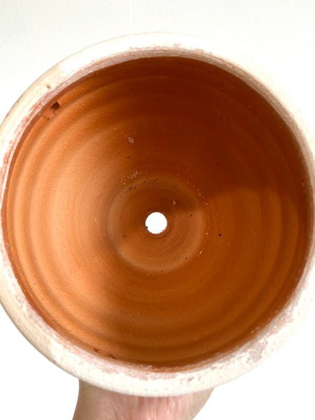 Terracotta 'White Stripes' Pot (3 Sizes)