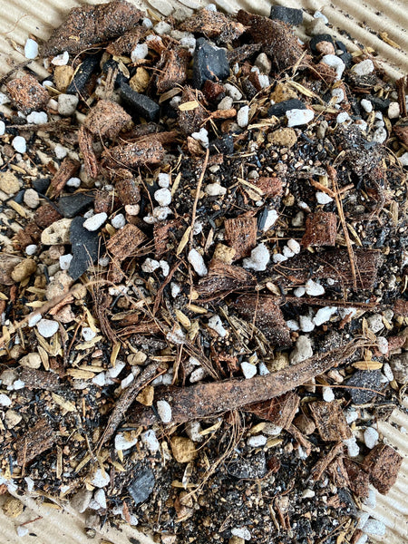 Tropical Rainforest Ground Potting Mix B (Alocasias and Caladiums)