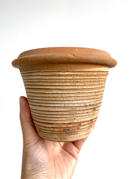 Cottage White Stripe Terracotta