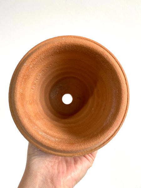 Cottage White Stripe Terracotta