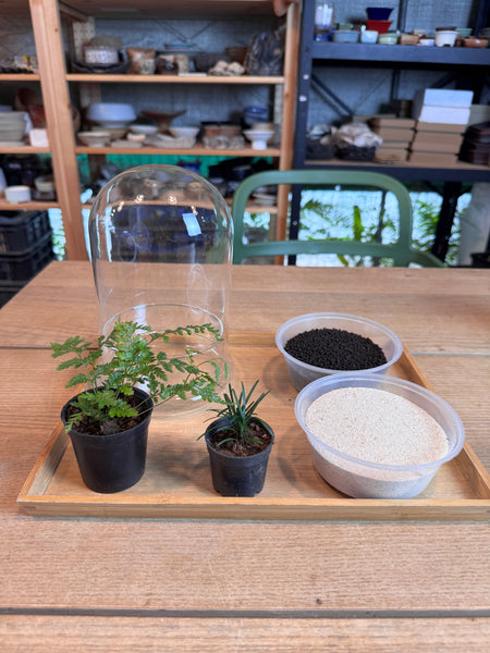 A Living Garden of Love — Mother’s Day Wabikusa Terrarium Workshop on 3rd May 2026 (10am - 11.30am)