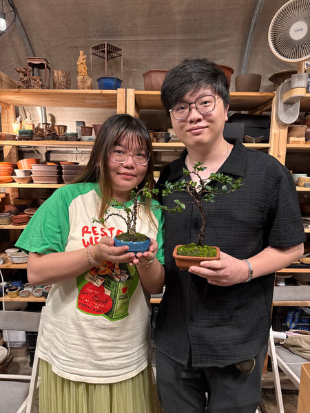 Bonsai Staycation, Maintenance & Repotting Services