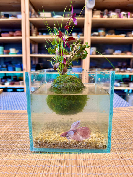 Floating Wabikusa Workshop (Group Booking Only)