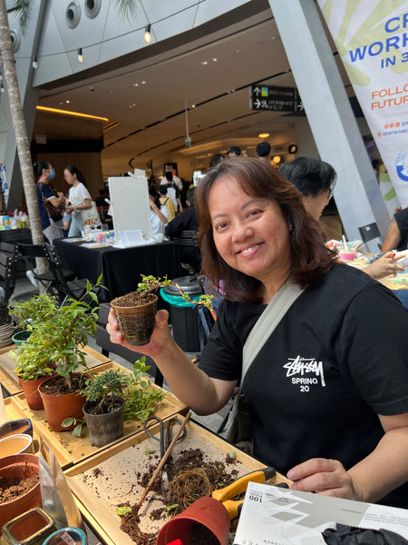 Mini Bonsai Prune and Shape Workshops on 6th July (1pm - 2pm) @ SGF2026 X Planters Market (Stage Area)