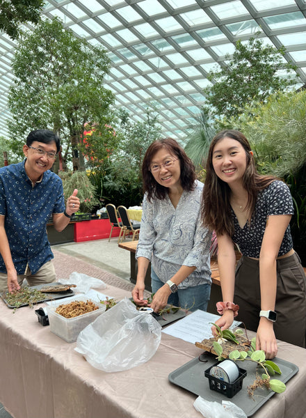Epiphyte Mount Workshop – Roots of Singapore’s Garden City (Group Booking Only)