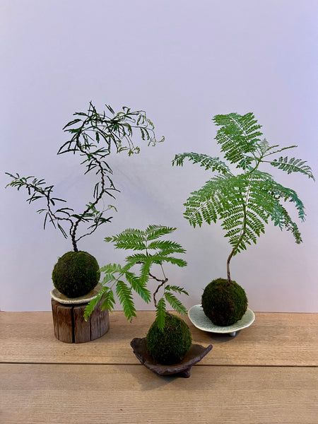 Signature Kokedama Workshop @ Boutiques Singapore on 17th May 2026 @ (1pm - 2.45pm)