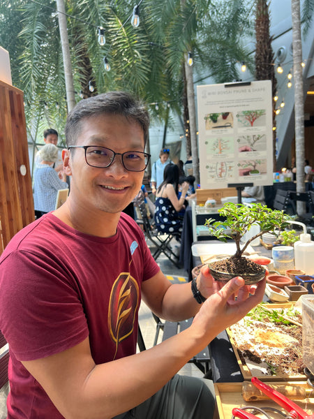 Mini Bonsai Prune and Shape Workshop @ Boutiques Singapore on 21st & 23rd Mar 2025