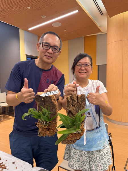 Epiphyte Mount Workshop – Roots of Singapore’s Garden City (Group Booking Only)