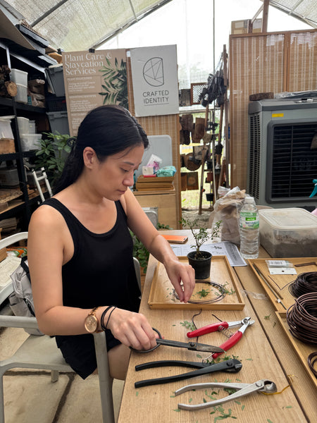 Mini Bonsai Prune and Shape Workshops on 6th July (1pm - 2pm) @ SGF2026 X Planters Market (Stage Area)