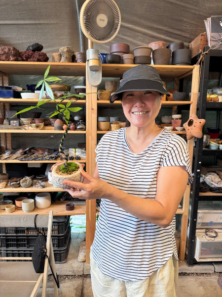 Indoor Zen Tree Styling Workshop on 11th Apr 2026. Saturday. (10am-12pm)