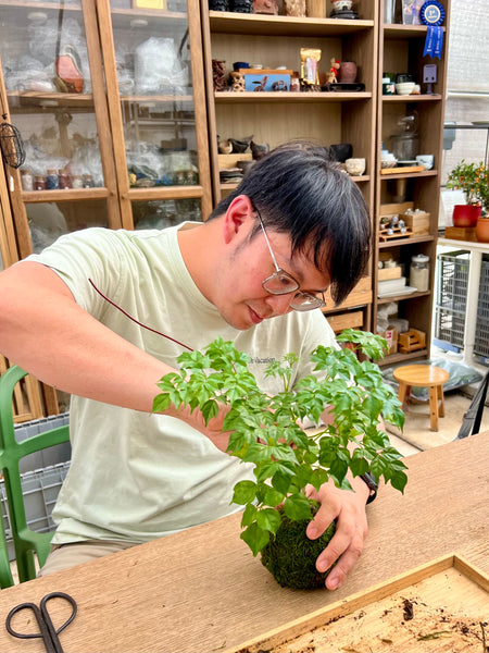 Signature Kokedama Workshop 13th September 2025 (Saturday 3pm-4.45pm)