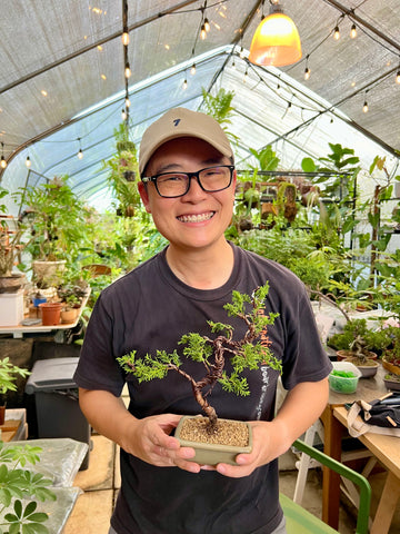 Chose your own date Shohin Bonsai (Shimpaku/Juniper/Black Pine) Workshop