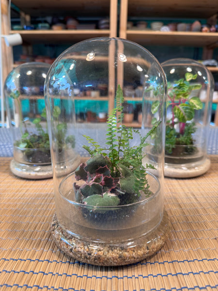 A Living Garden of Love — Mother’s Day Wabikusa Terrarium Workshop on 3rd May 2026 (10am - 11.30am)