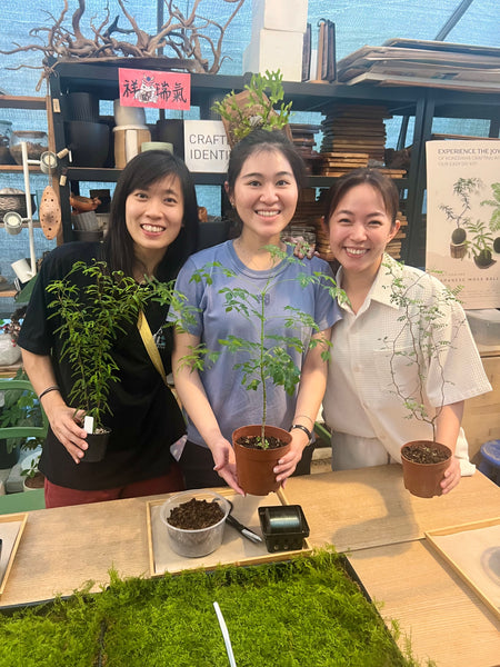 Signature Kokedama Workshop 13th September 2025 (Saturday 3pm-4.45pm)