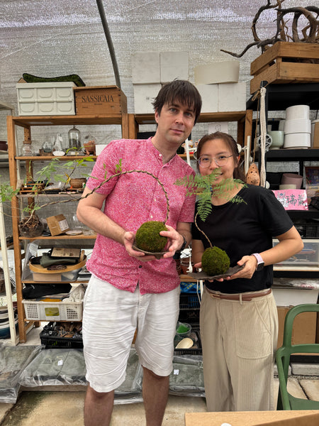Signature Kokedama Workshop 13th September 2025 (Saturday 3pm-4.45pm)