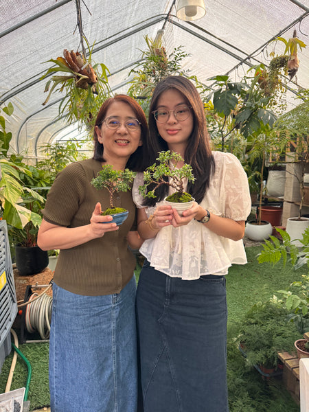 SG Culture Eligible Event - Bonsai Traditions in Singapore A Living Heritage Workshop (18th & 25th Oct 2025, Saturday 9.30 am  - 12 pm and 3.30 pm - 6pm; 4 available time slots)