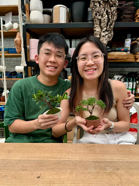 Mini Bonsai Prune and Shape Workshops on 6th July (1pm - 2pm) @ SGF2026 X Planters Market (Stage Area)
