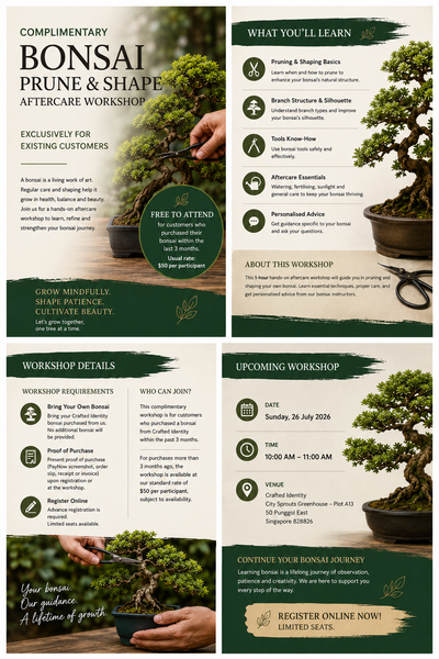 Complimentary Bonsai “Prune & Shape” Aftercare Workshop