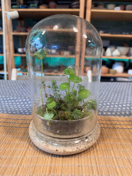 A Living Garden of Love — Mother’s Day Wabikusa Terrarium Workshop on 3rd May 2026 (10am - 11.30am)