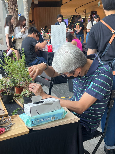 Mini Bonsai Prune and Shape Workshop @ Boutiques Singapore on 21st & 23rd Mar 2025