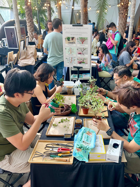 Mini Bonsai Prune and Shape Workshop @ Boutiques Singapore on 21st & 23rd Mar 2025
