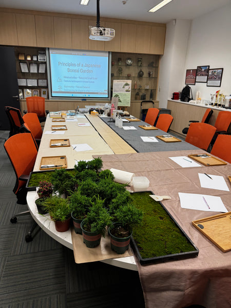 Juniper Bonsai & Moss Garden Workshop - Saturday, 13th Sep 2025 (9.30am - 12pm)