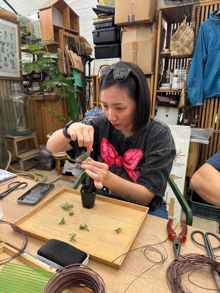 Mini Bonsai Prune and Shape Workshops on 6th July (1pm - 2pm) @ SGF2026 X Planters Market (Stage Area)