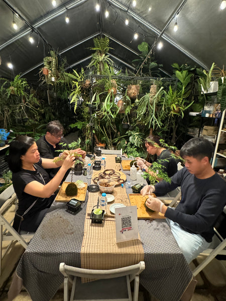 Signature Kokedama Workshop 13th September 2025 (Saturday 3pm-4.45pm)
