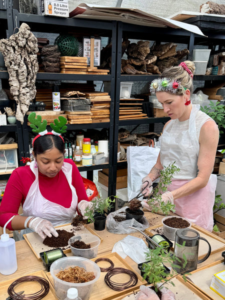 Signature Kokedama Workshop 13th September 2025 (Saturday 3pm-4.45pm)