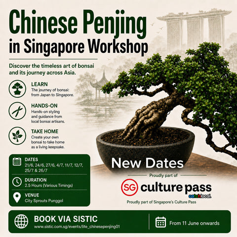 SG Culture Pass Eligible Event - Chinese Penjing in Singapore Workshop