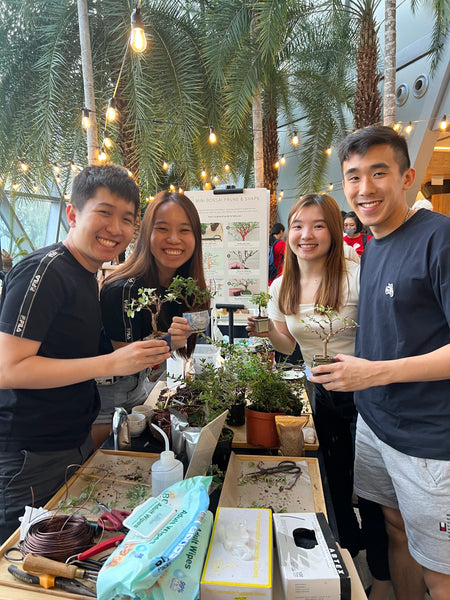 Mini Bonsai Prune and Shape Workshops on 6th July (1pm - 2pm) @ SGF2026 X Planters Market (Stage Area)