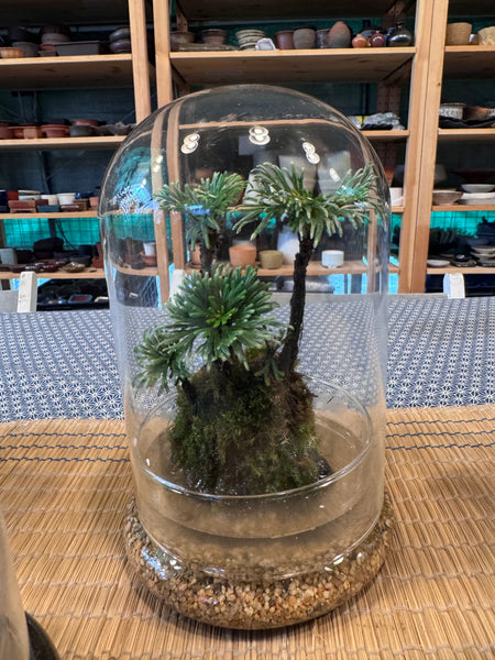A Living Garden of Love — Mother’s Day Wabikusa Terrarium Workshop on 3rd May 2026 (10am - 11.30am)