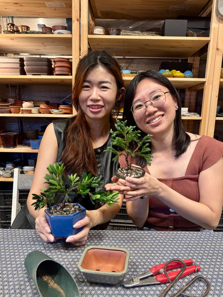 Bonsai Staycation, Maintenance & Repotting Services