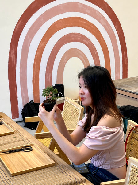 Mini Bonsai Prune and Shape Workshops on 6th July (1pm - 2pm) @ SGF2026 X Planters Market (Stage Area)