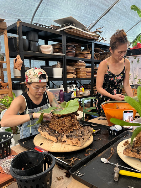 Chose your own date - Staghorn Mounting Workshop