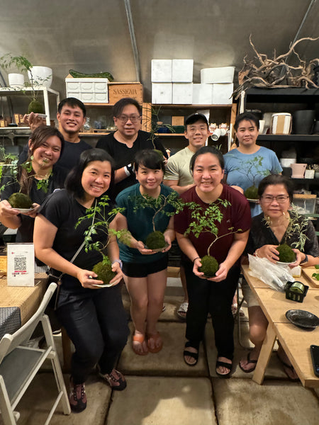Signature Kokedama Workshop 13th September 2025 (Saturday 3pm-4.45pm)