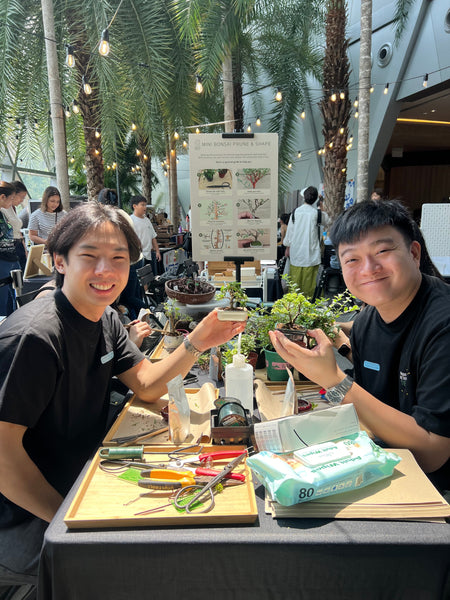 Mini Bonsai Prune and Shape Workshop @ Boutiques Singapore on 21st & 23rd Mar 2025