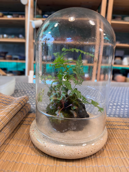 Signature Wabikusa Terrarium Workshop @ Boutiques Singapore on 16th May 2026 (1pm - 2.30pm)