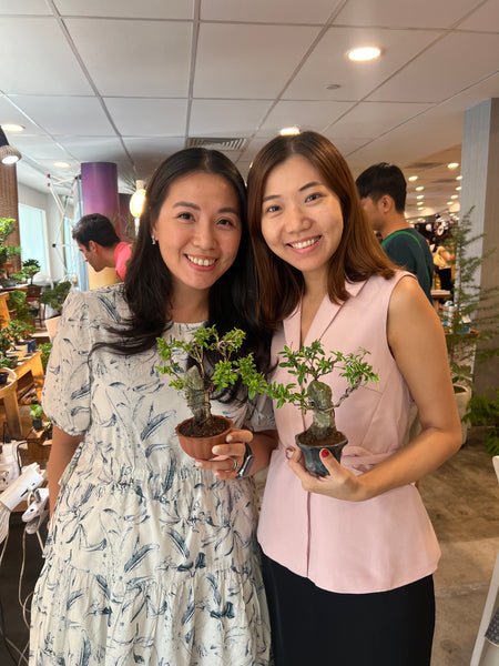 SG Culture Eligible Event - Bonsai Traditions in Singapore A Living Heritage Workshop (18th & 25th Oct 2025, Saturday 9.30 am  - 12 pm and 3.30 pm - 6pm; 4 available time slots)