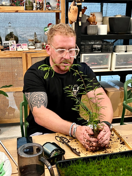 Signature Kokedama Workshop 13th September 2025 (Saturday 3pm-4.45pm)