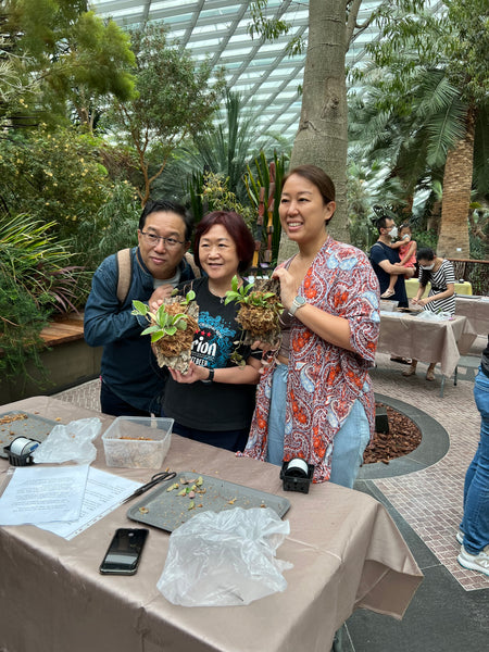 Epiphyte Mount Workshop – Roots of Singapore’s Garden City (Group Booking Only)