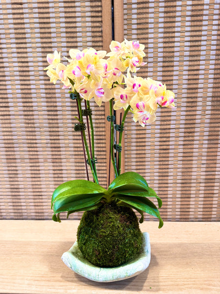 Orchid Legacies Kokedama Workshop : Crafting Singapore’s Living Heritage through Kokedama Art (Group Booking Only)