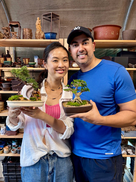 Bonsai Staycation, Maintenance & Repotting Services