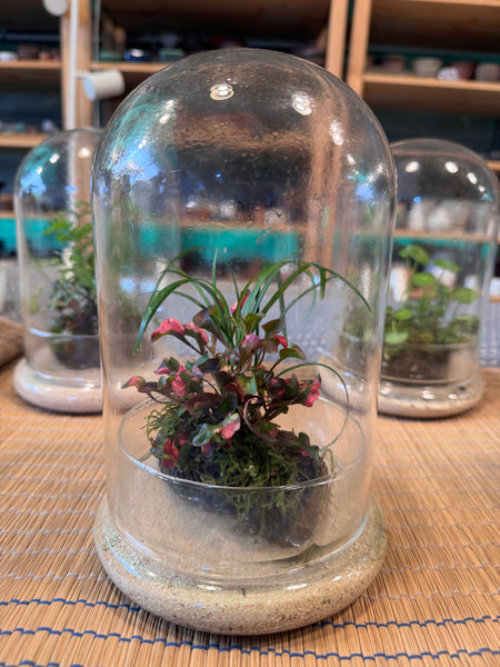 A Living Garden of Love — Mother’s Day Wabikusa Terrarium Workshop on 3rd May 2026 (10am - 11.30am)