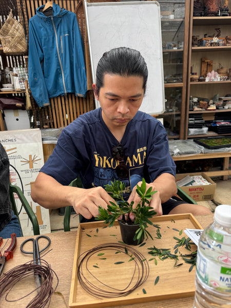 Mini Bonsai Prune and Shape Workshops on 6th July (1pm - 2pm) @ SGF2026 X Planters Market (Stage Area)